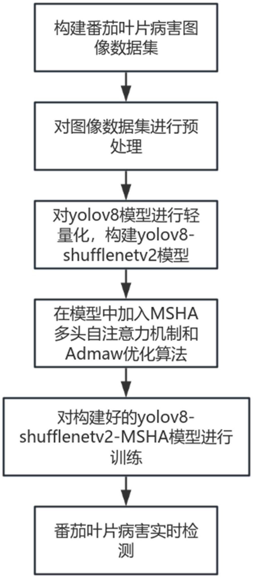 一種基于YOLO V8的番茄葉片病害的檢測方法