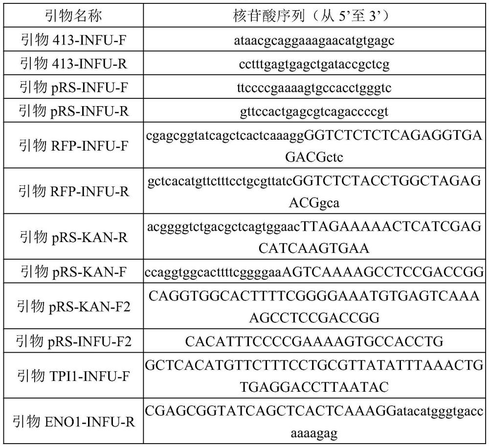 一種pRS4XX載體及其在提高陽性菌落篩選率中的應(yīng)用的制作方法