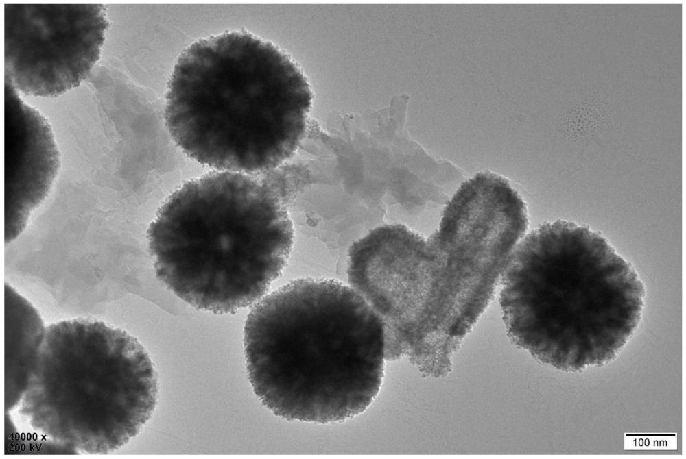 一種檢測25(OH)D3的生物傳感器及其構(gòu)建方法和用途