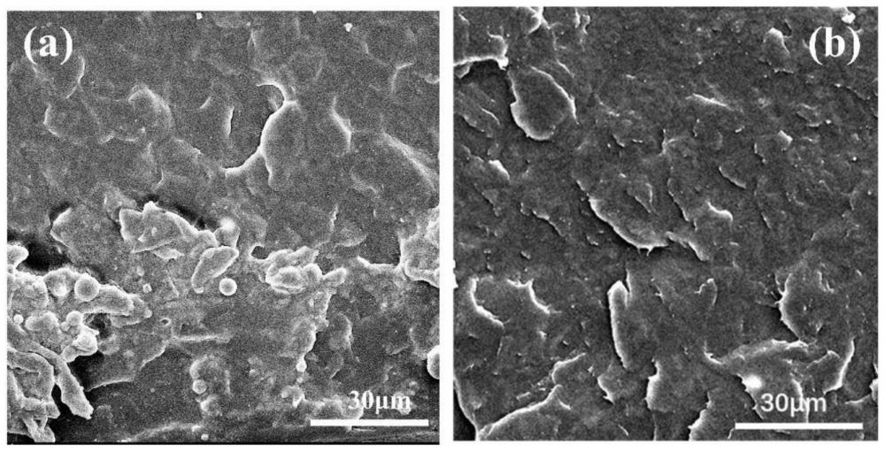 高儲能密度鈦硅分子篩、聚丙烯復(fù)合材料薄膜及制備方法與流程