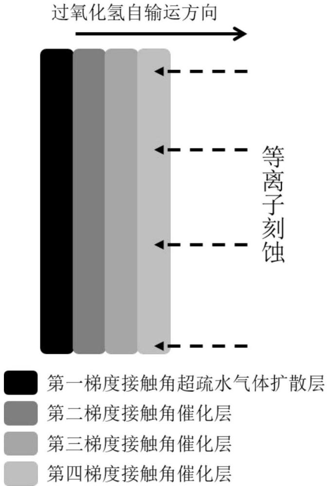 一種具有梯度親疏水性催化層結(jié)構的氣體擴散電極及其制備方法和應用與流程