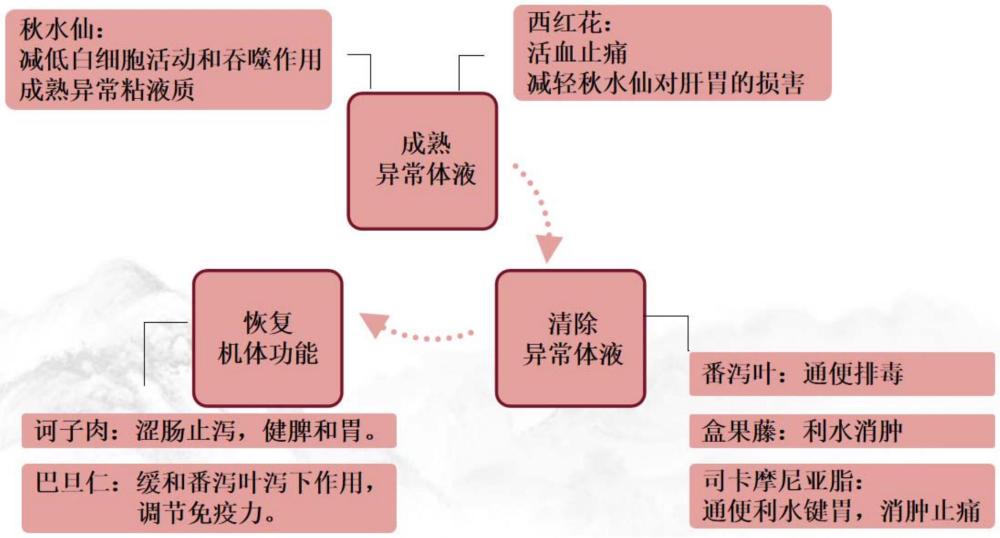 一種用于骨關(guān)節(jié)痛、風(fēng)濕病、類風(fēng)濕性關(guān)節(jié)炎、坐骨神經(jīng)痛中藥組合物及其制備方法、應(yīng)用和質(zhì)量控制方法與流程