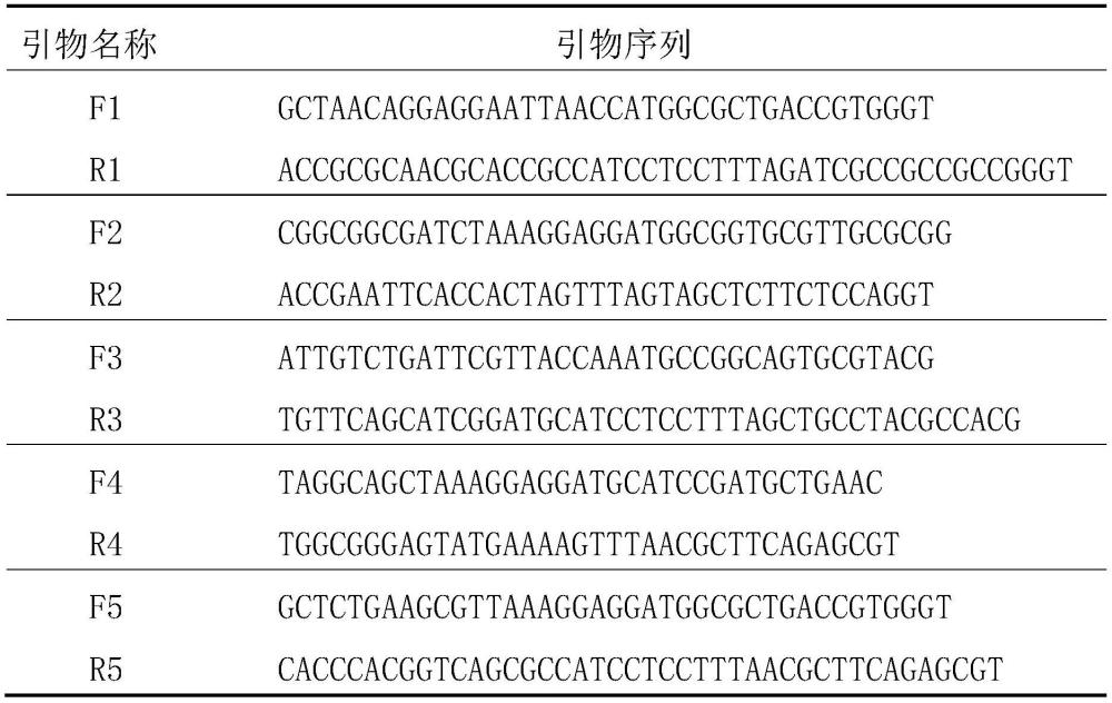 一種重組大腸桿菌及利用葡萄糖合成鯊肌醇的方法與流程