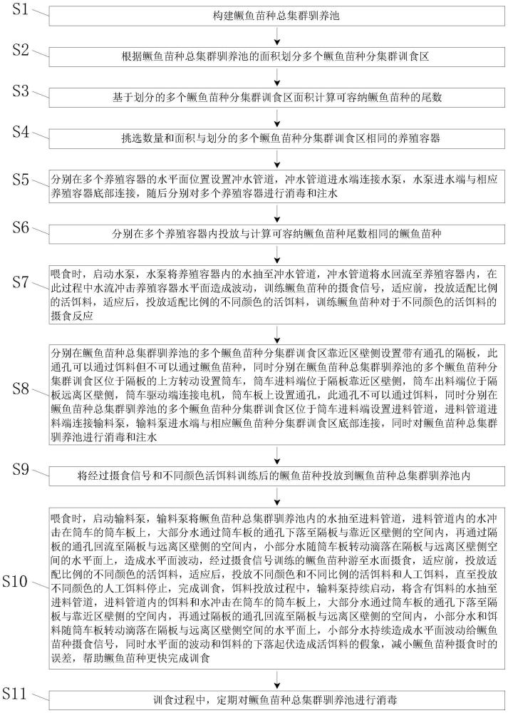 一種鱖魚苗種的馴食方法與流程