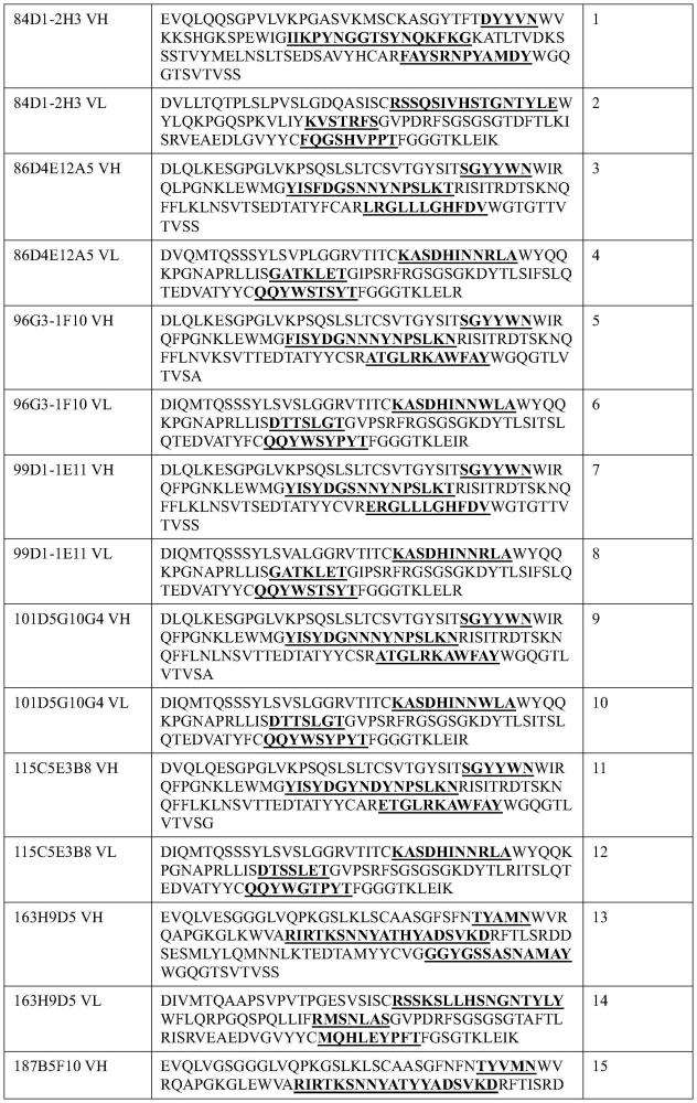 抗CCR8抗體及其應用的制作方法