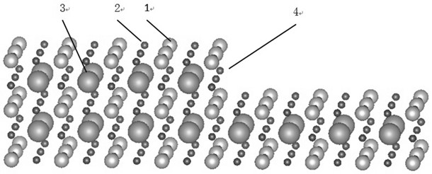 一種用于校準(zhǔn)掃描探針顯微鏡的方法與流程