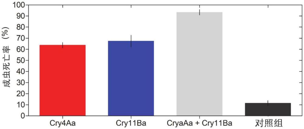 基于Cry4Aa和Cry11Ba的殺蟲(chóng)劑及其應(yīng)用的制作方法