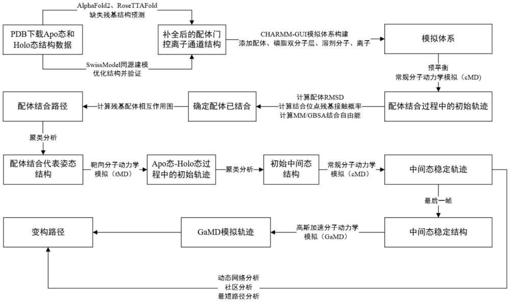 一種基于分子動(dòng)力學(xué)模擬配體門控離子通道的路徑識(shí)別方法