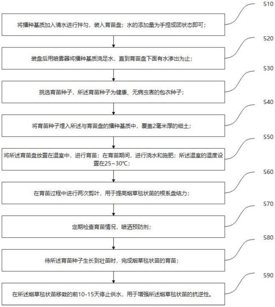 一種煙草毯狀苗的育苗方法