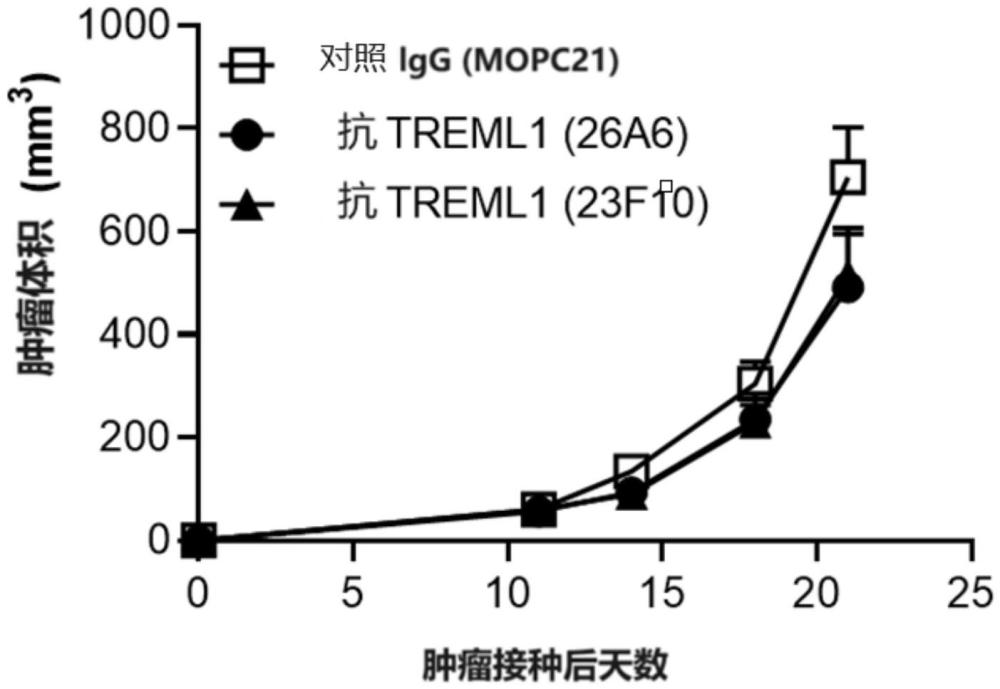 逆轉(zhuǎn)TREML1誘導(dǎo)的免疫抑制的方法與流程