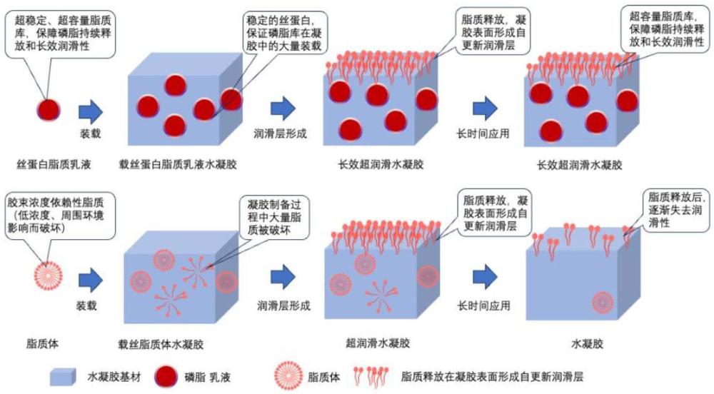 一種潤滑水凝膠及其應(yīng)用