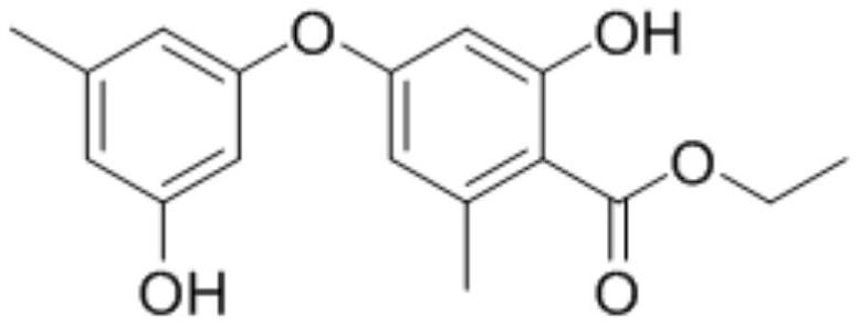 一種真菌次級代謝產(chǎn)物Ethericin B的合成方法