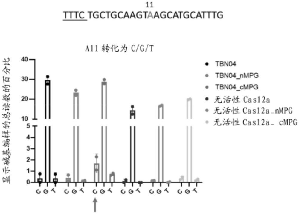 CAS12A核酸內切酶變體及使用方法與流程