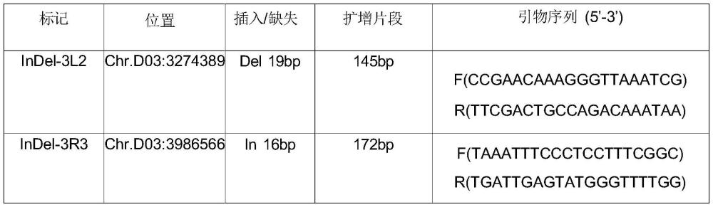 海島棉纖維強(qiáng)度QTL緊密連鎖InDel分子標(biāo)記及其應(yīng)用