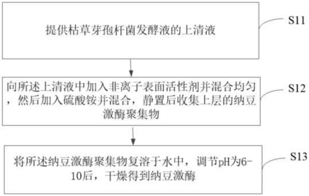 一種納豆激酶及其制備方法與流程