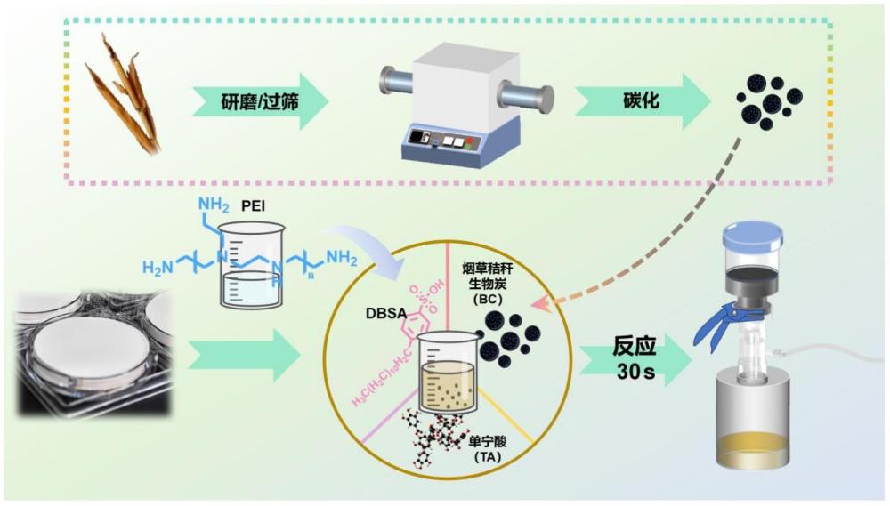 一种生物炭掺入的超分子快速自组装涂层膜及其制备与应用