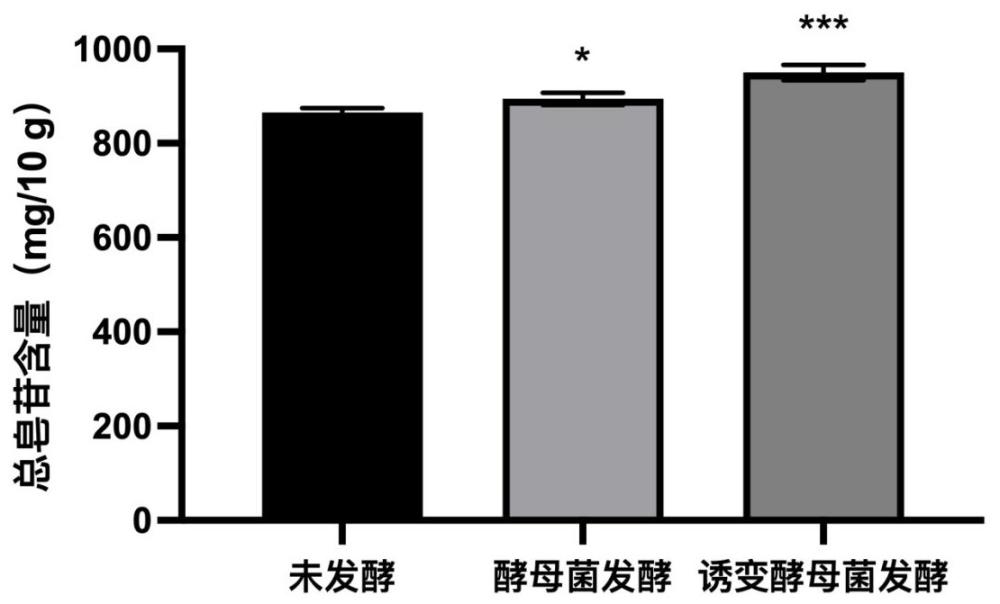 一種具有不上火作用的人參提取物及其制備方法和應用