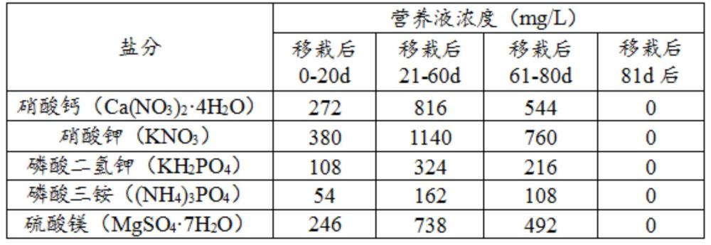 一种用于茄衣烟叶立体多层式培育的补光方法与流程