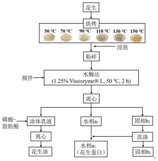 一種基于磷酸與脂肪酸復配破乳提取花生油的方法