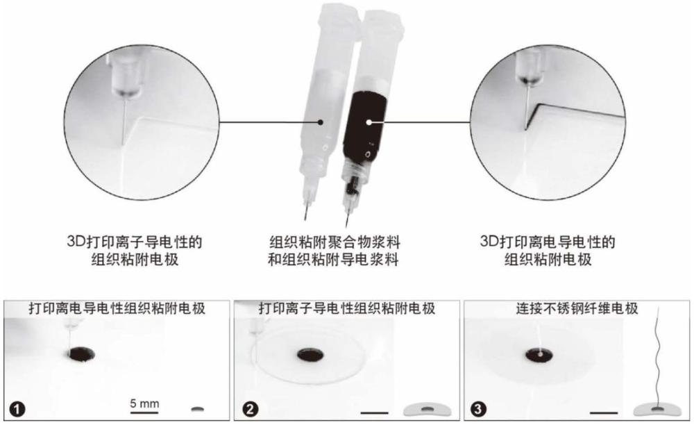 一種組織粘附電極及其制備方法和用途