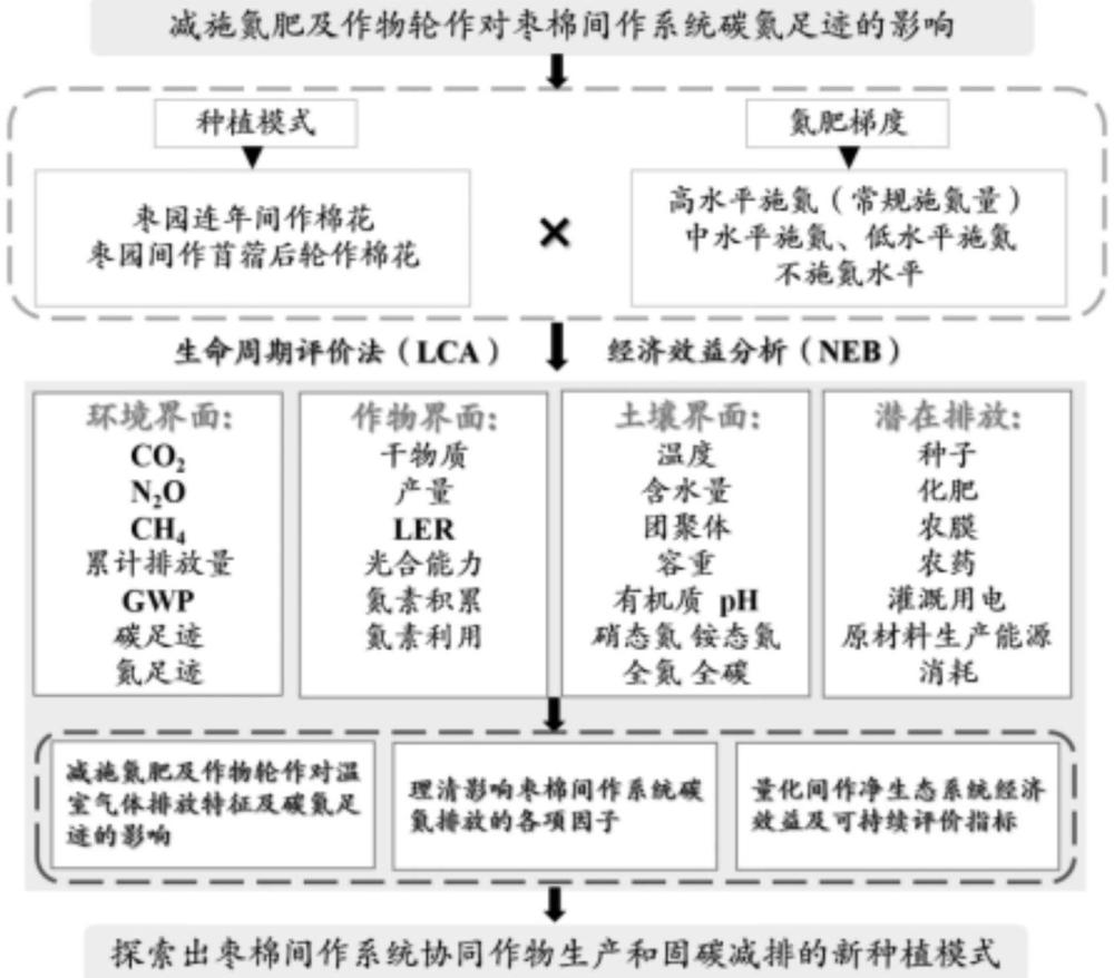 一種氮肥減施及棗棉間作對碳氮足跡影響的評價(jià)方法