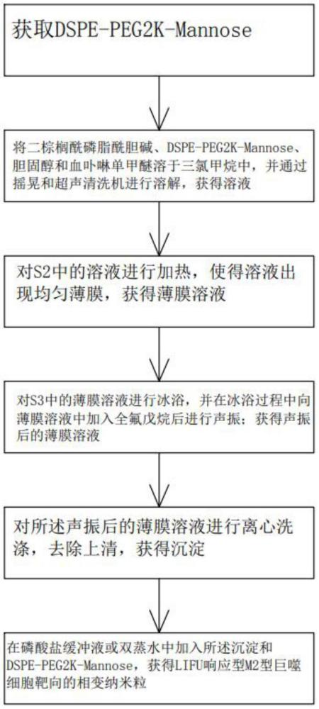 一種LIFU響應(yīng)型M2型巨噬細(xì)胞靶向的相變納米粒制備方法及納米粒和應(yīng)用與流程