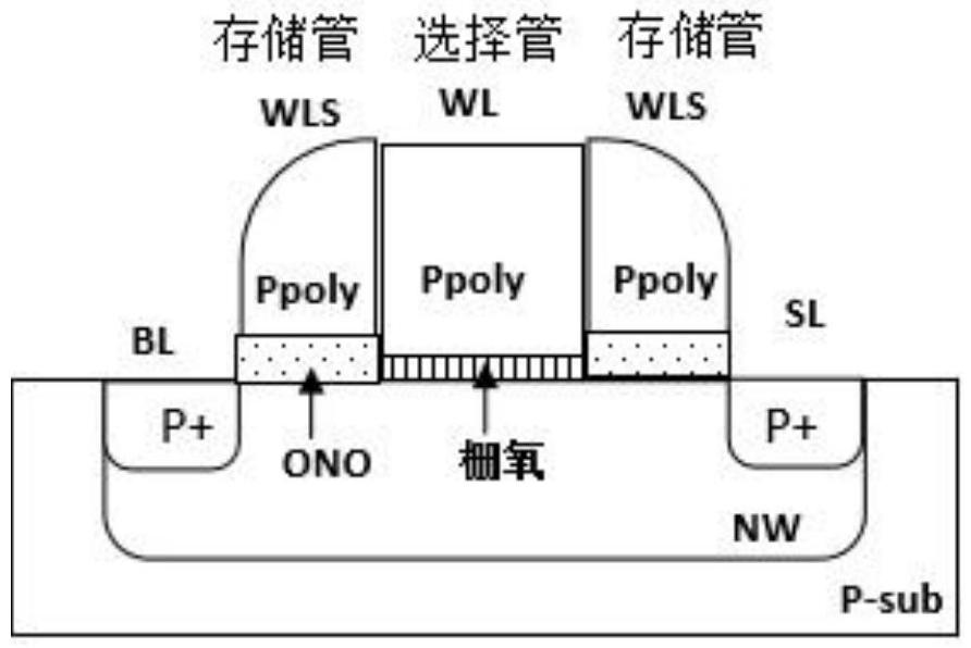 一種P型共源分柵SONOS存儲器陣列及其操作方法與流程