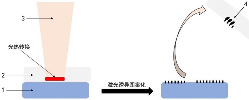 一種基于碳化硅襯底與聚合物界面的激光標記方法與流程