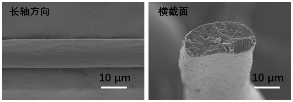 一種再生蛋白復(fù)合纖維及其制備方法