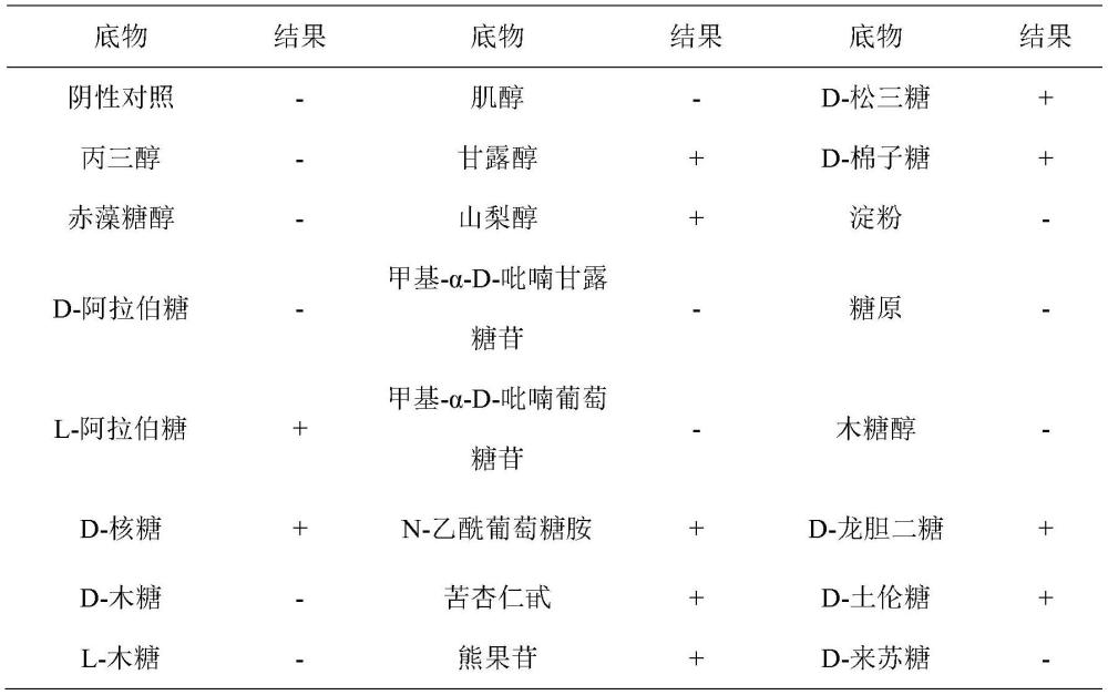 一株具有降解吲哚功效的植物乳植桿菌及其應用的制作方法