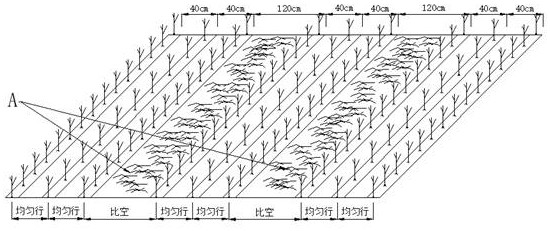 保護(hù)性耕作不等行距疏密種植模式及配套裝置