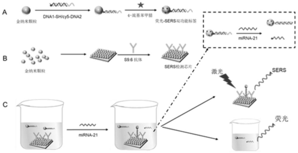 一種檢測腫瘤微小核酸標志物的熒光-SERS雙模傳感器及其制備方法和應用