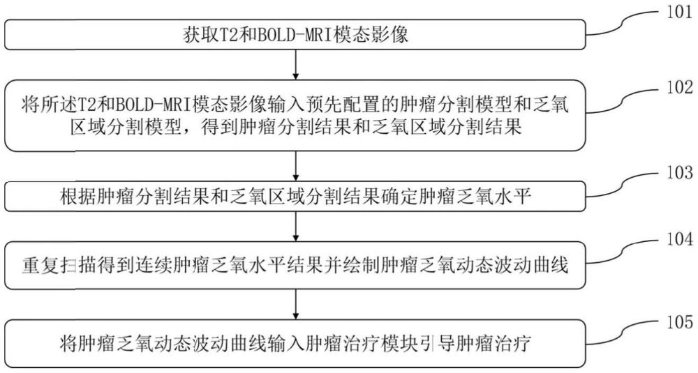 一種腫瘤乏氧水平評(píng)估方法及系統(tǒng)