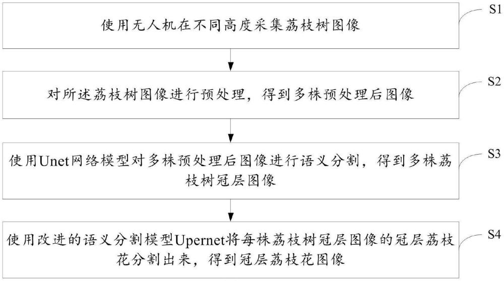 一種基于語義分割算法的冠層荔枝花分割方法和系統