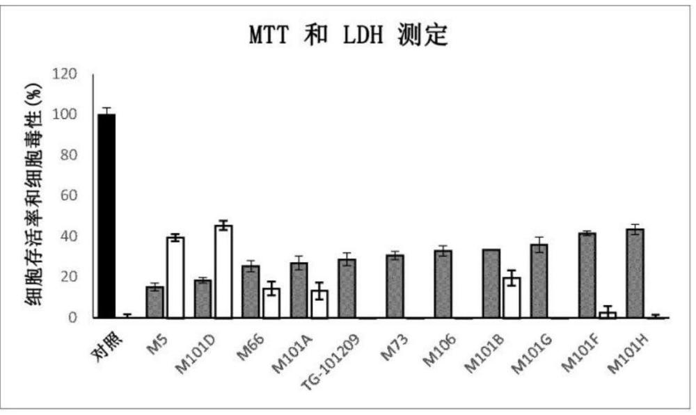 新化合物和腎細(xì)胞癌的治療的制作方法