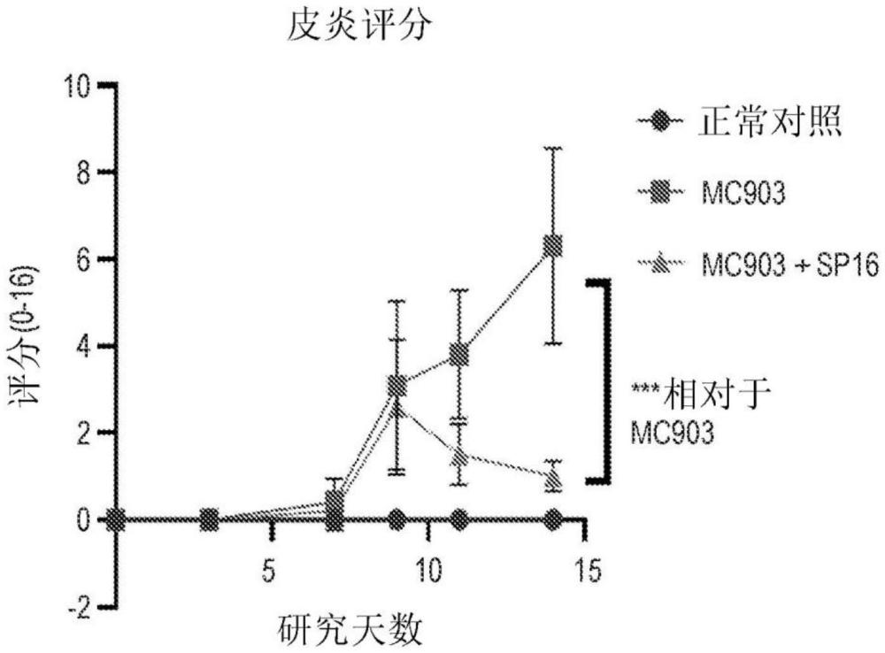 SERPIN肽及其使用方法與流程