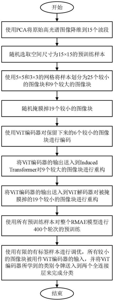 基于正則化掩膜自動編碼器的半監(jiān)督高光譜圖像分類方法