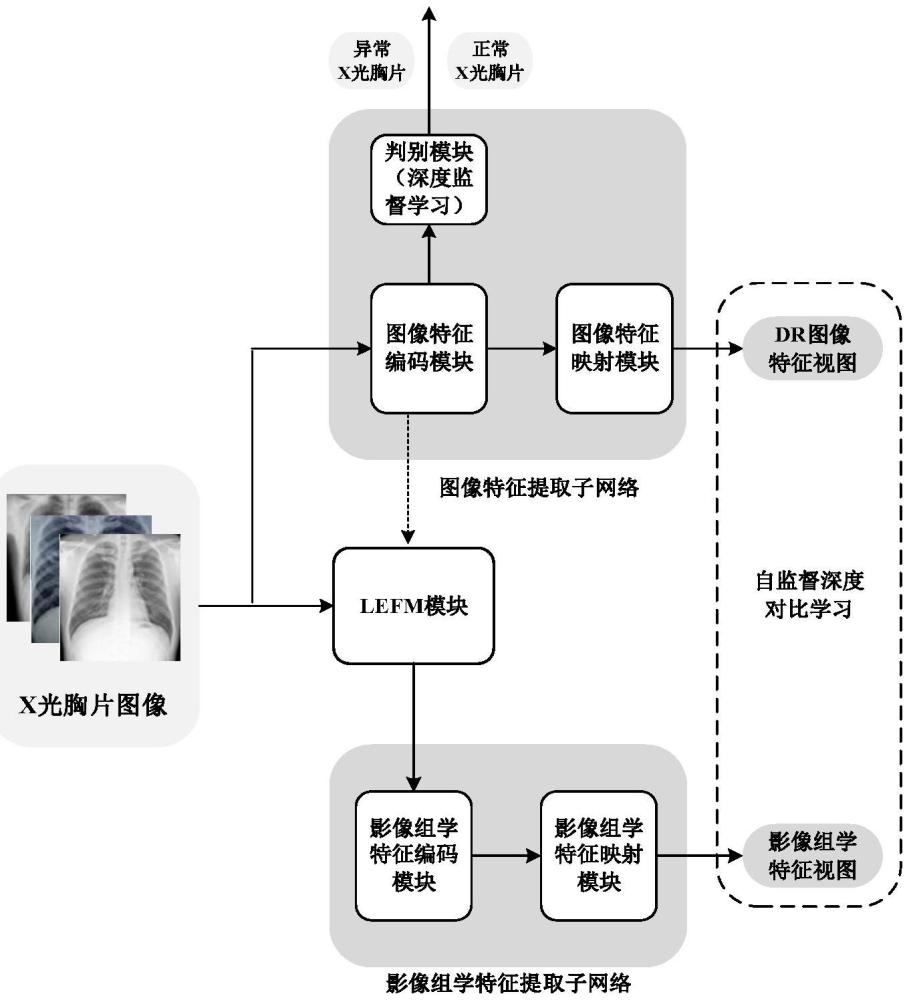 一種基于深度自監(jiān)督對(duì)比學(xué)習(xí)的X光胸片智能分析方法及系統(tǒng)與流程