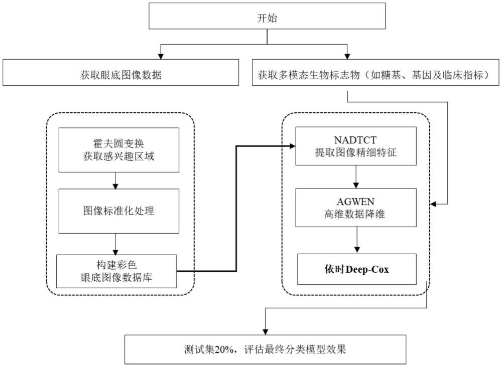 一種結(jié)合多模態(tài)大數(shù)據(jù)的深度學(xué)習(xí)醫(yī)學(xué)圖像處理分類系統(tǒng)