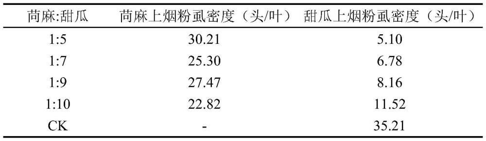 一種甜瓜煙粉虱的防治方法