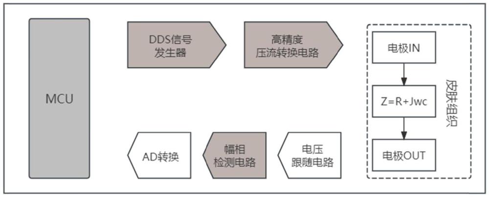 一種用于人體阻抗譜測量的設(shè)備與方法