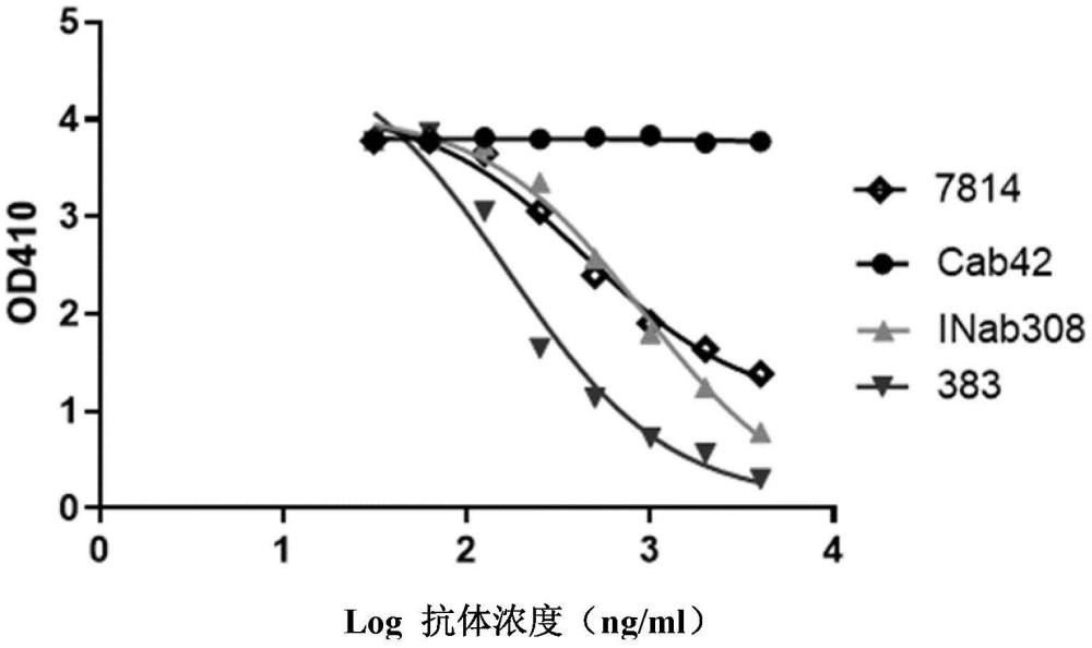 特異性識別C5A的抗體及其應(yīng)用的制作方法