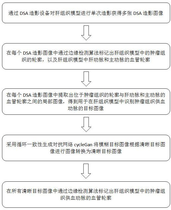 一種在DSA造影圖像中識(shí)別肝癌供血?jiǎng)用}的方法及系統(tǒng)