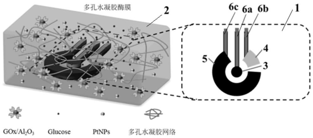 一種電化學(xué)酶傳感器及其制備方法