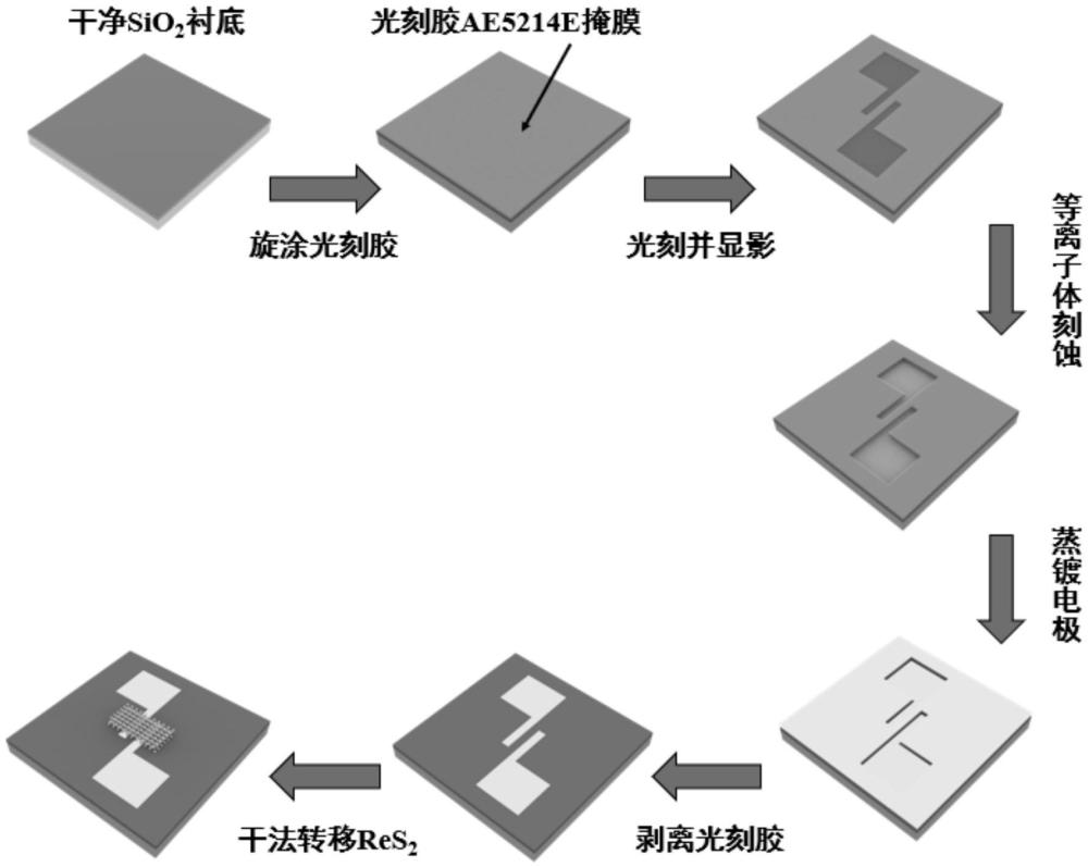 一種肖特基勢壘調(diào)制的多態(tài)存儲器及其制備方法與應(yīng)用