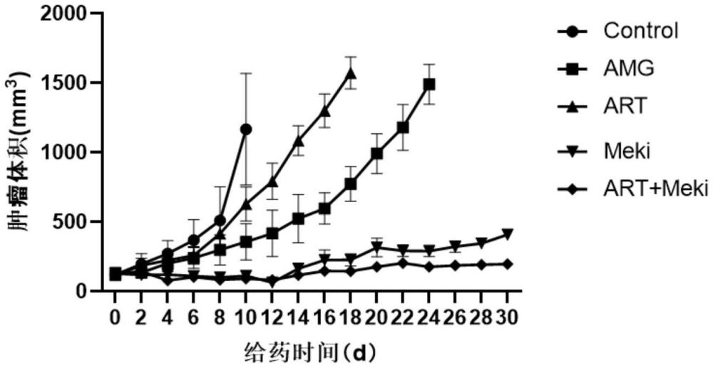 一種治療非小細(xì)胞肺癌KRAS G12C突變的藥物組合物及其應(yīng)用的制作方法