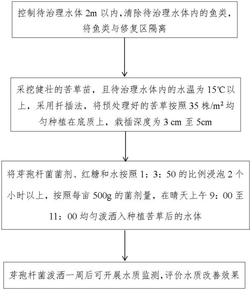 一種苦草和芽孢桿菌聯(lián)用凈化水體氮磷的方法與流程