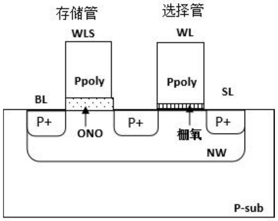 一種P溝道SONOS存儲器陣列及其操作方法與流程