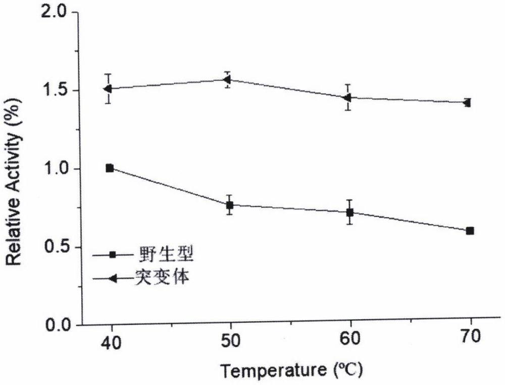 一種催化活性和熱穩(wěn)定性提高的石莼多糖裂解酶突變體及其應(yīng)用