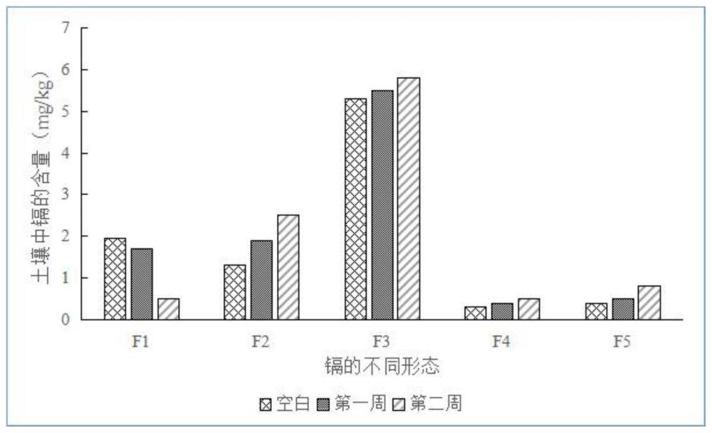 一种固化土壤中重金属镉的土壤改良剂的制作方法